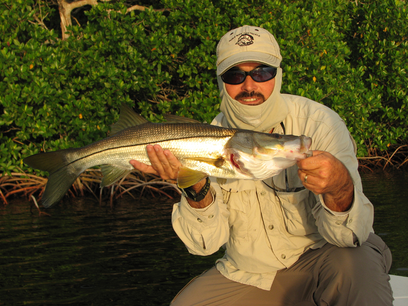 Snook Fly Fishing