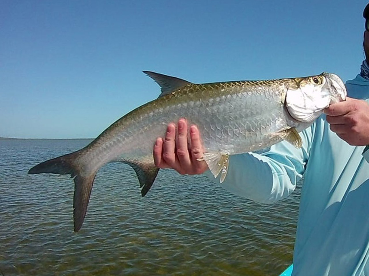 Tarpon Fly Fishing New Smyrna Beach
